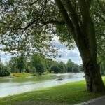 Les meilleurs parcs et jardins pour des balades nature en famille en France