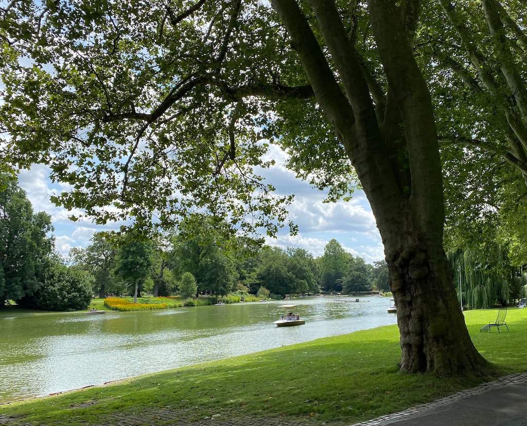 Les meilleurs parcs et jardins pour des balades nature en famille en France