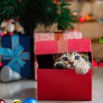 Cadeau original pour enfant : des idées qui sortent de l’ordinaire